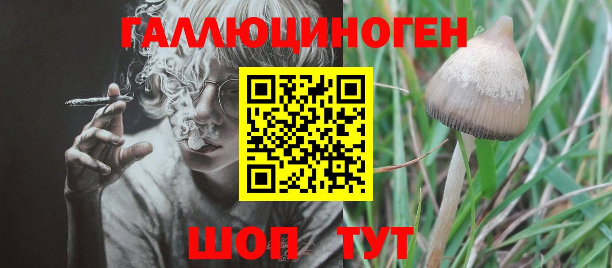 Галлюциногенные грибы Cubensis Кириши
