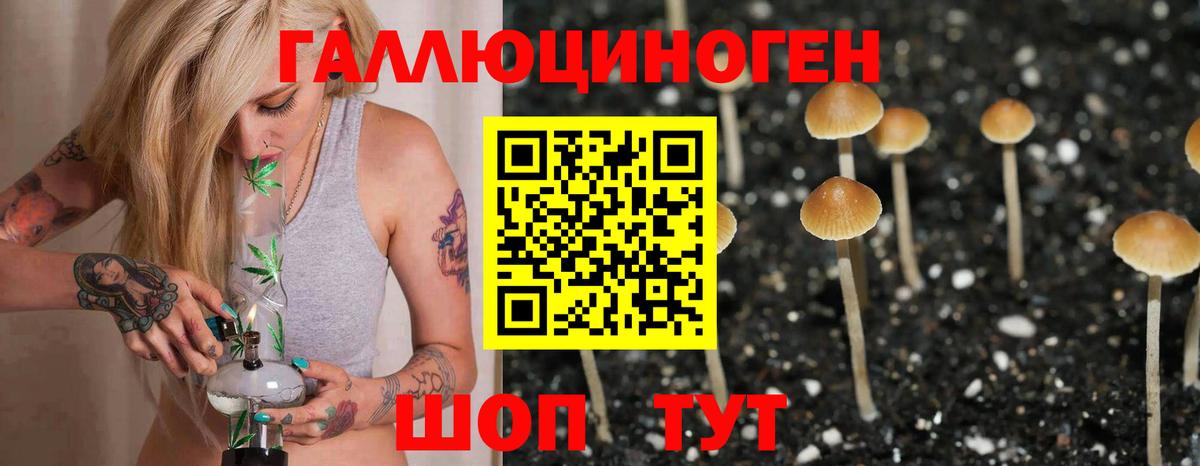 Кириши  Псилоцибиновые грибы Psilocybe  Галлюциногенные грибы Psilocybe  Вход с VPN 